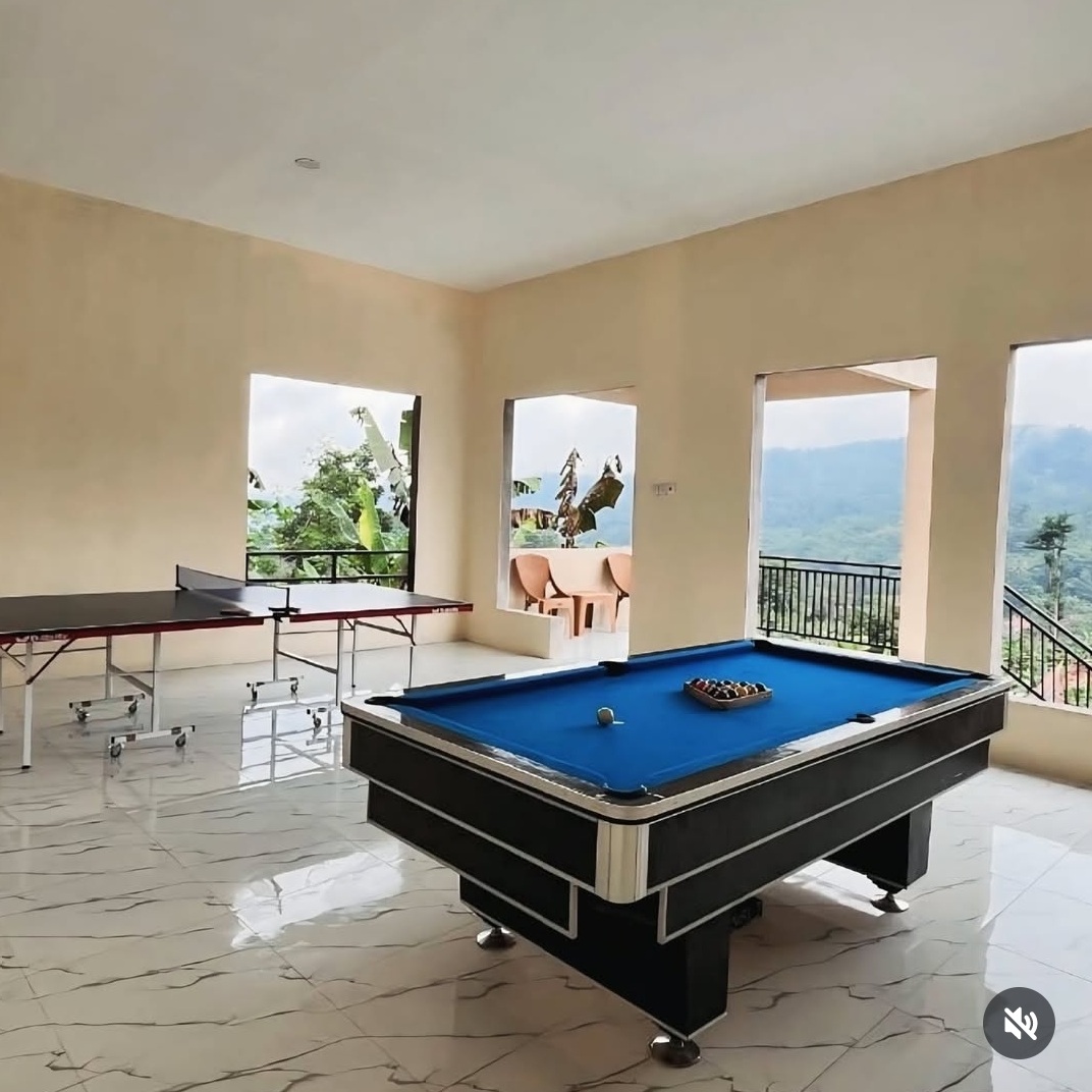 Billiard & Tennis Table